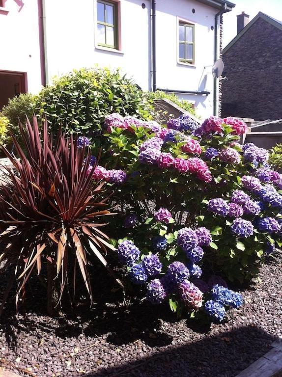 Burnham View Villa Dingle Exteriör bild